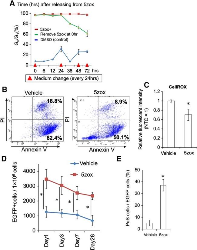 Ly-6A/E (Sca-1) Antibody in Flow Cytometry (Flow)