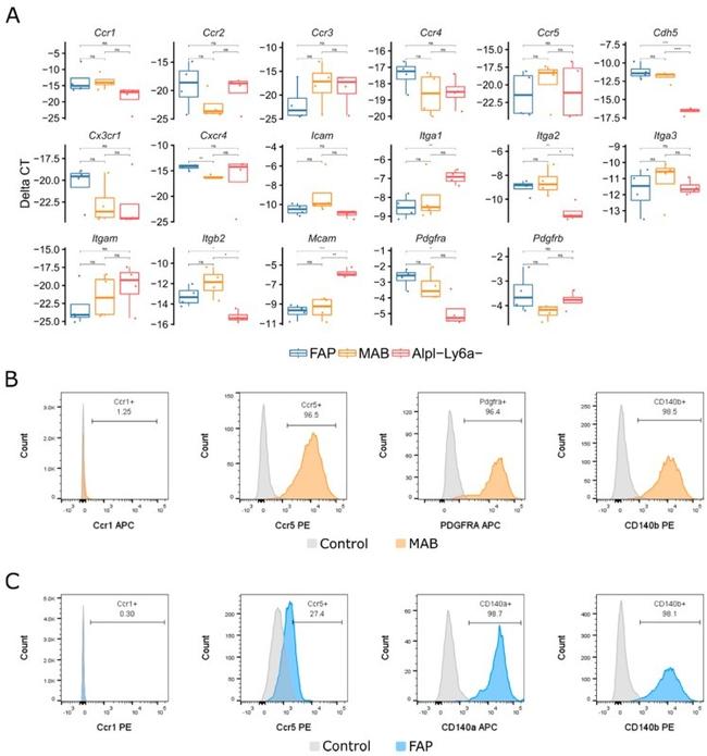 CD140a (PDGFRA) Antibody in Flow Cytometry (Flow)