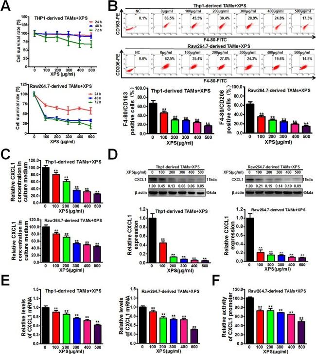 CD163 Antibody in Flow Cytometry (Flow)