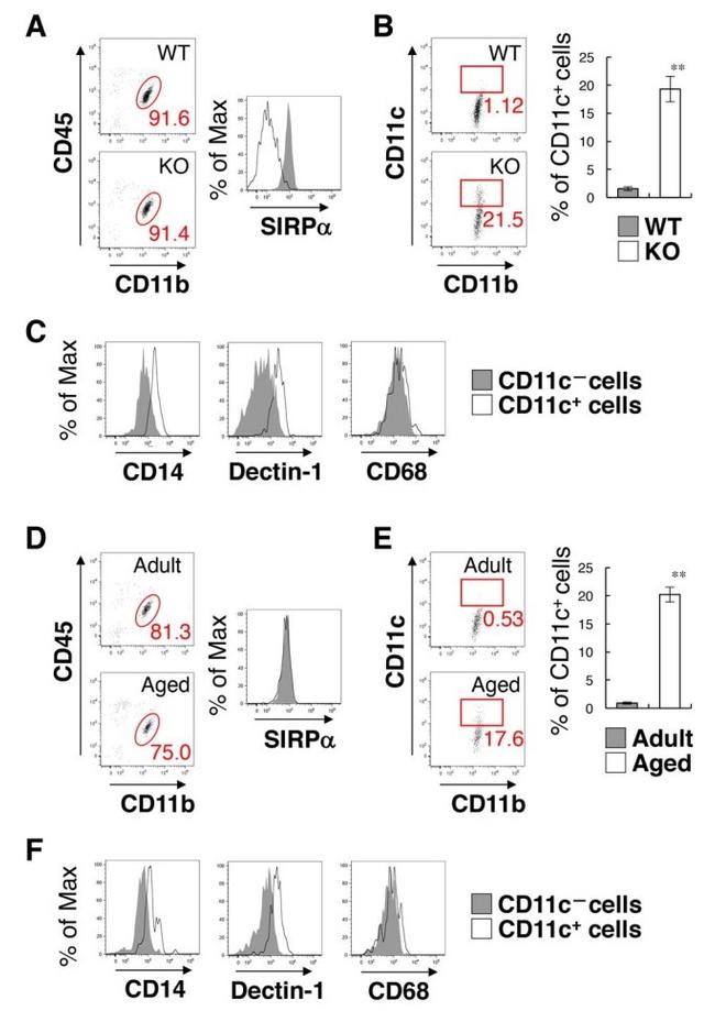 CD172a (SIRP alpha) Antibody in Flow Cytometry (Flow)