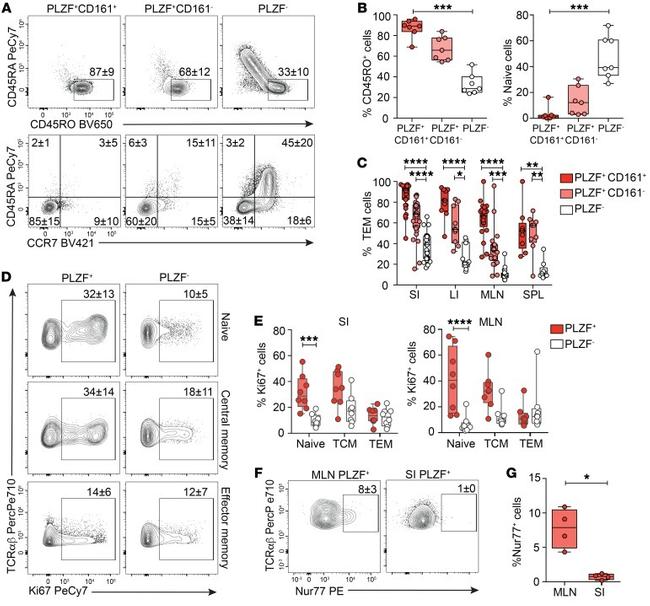 TCR alpha/beta Antibody in Flow Cytometry (Flow)