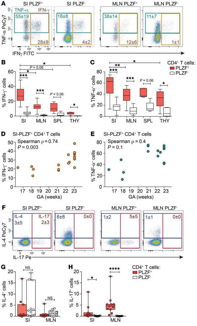 IL-17A Antibody in Flow Cytometry (Flow)