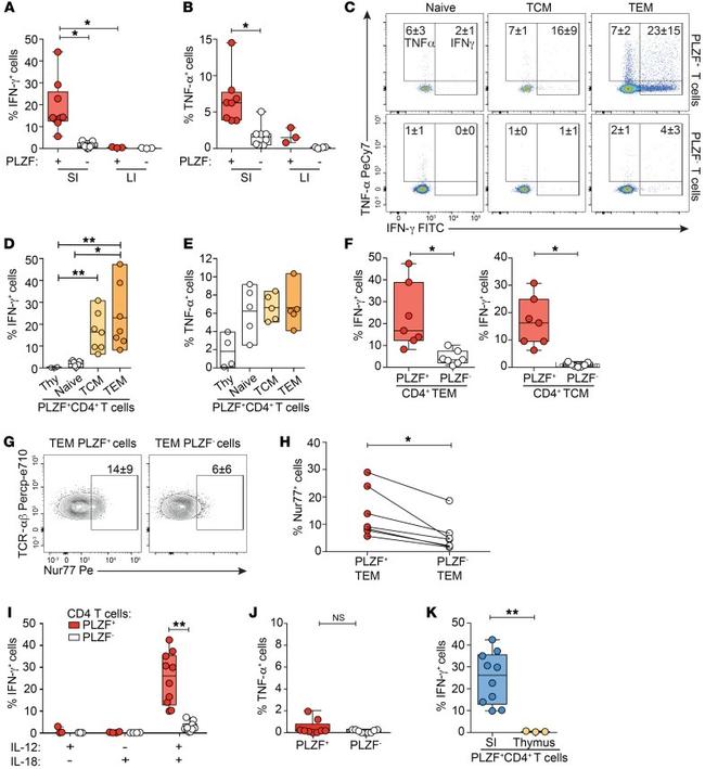 Nur77 Antibody in Immunohistochemistry, Flow Cytometry (IHC, Flow)