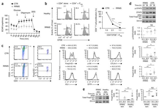 FOXP3 Antibody in Flow Cytometry (Flow)