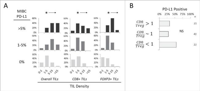 FOXP3 Antibody in Immunohistochemistry (IHC)