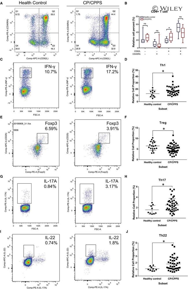 IL-22 Antibody in Flow Cytometry (Flow)