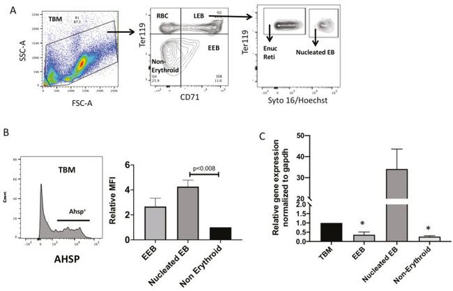 TER-119 Antibody in Flow Cytometry (Flow)