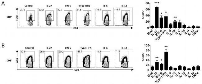 Ly-6A/E (Sca-1) Antibody in Flow Cytometry (Flow)