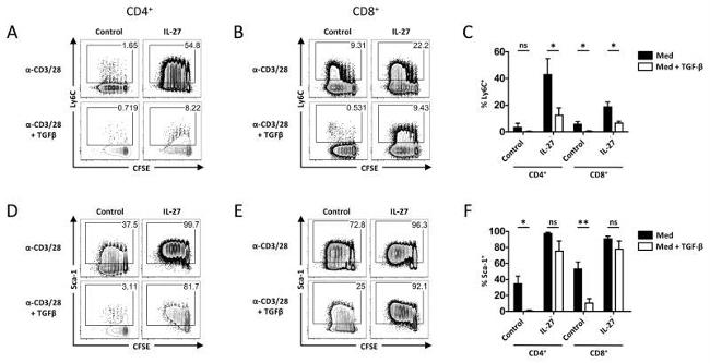 Ly-6A/E (Sca-1) Antibody in Flow Cytometry (Flow)