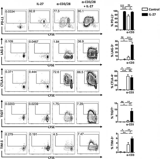 Ly-6C Antibody in Flow Cytometry (Flow)