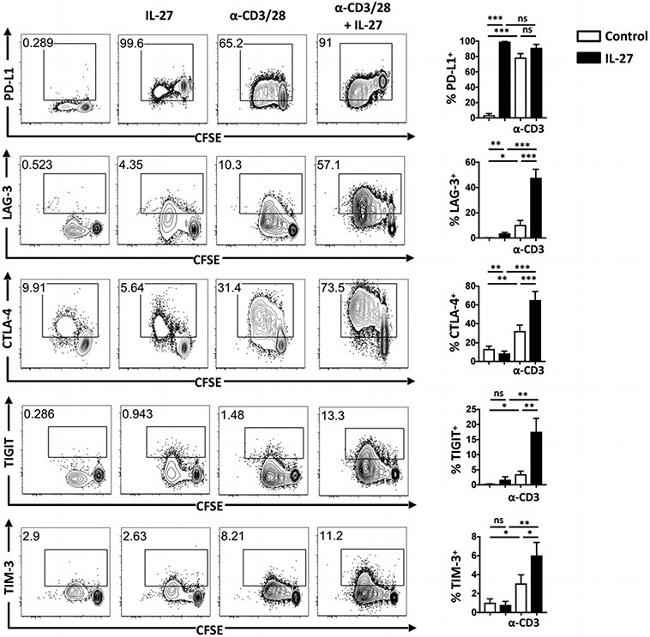 Ly-6C Antibody in Flow Cytometry (Flow)