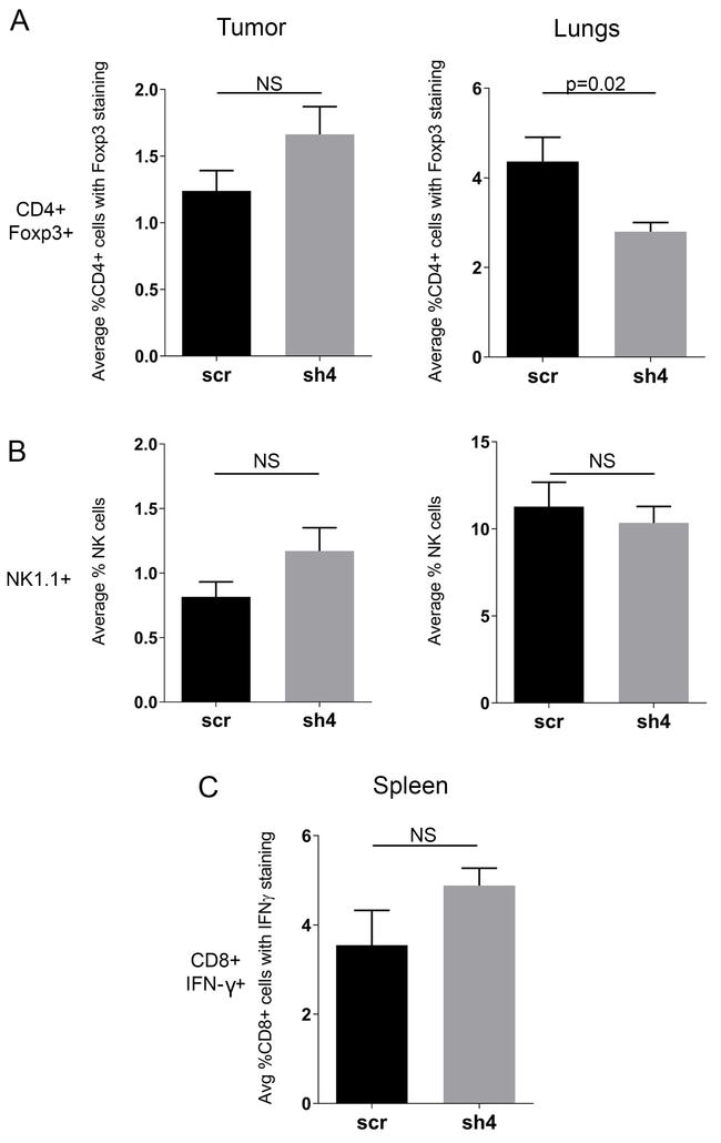 CD49b (Integrin alpha 2) Antibody in Flow Cytometry (Flow)