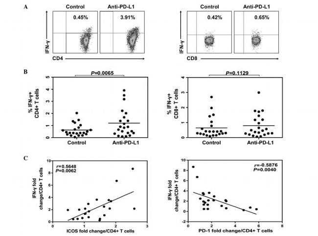 CD278 (ICOS) Antibody in Flow Cytometry (Flow)