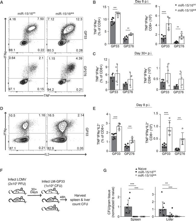 IL-2 Antibody in Flow Cytometry (Flow)