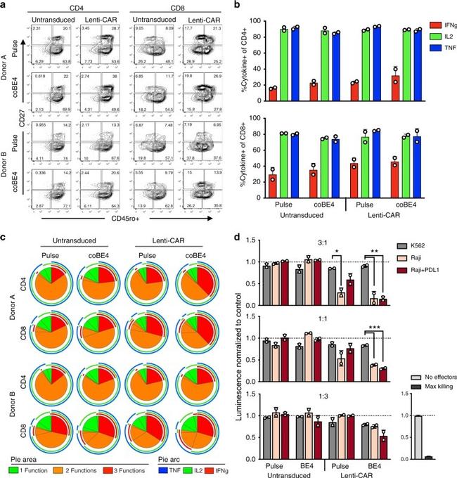 IFN gamma Antibody in Flow Cytometry (Flow)