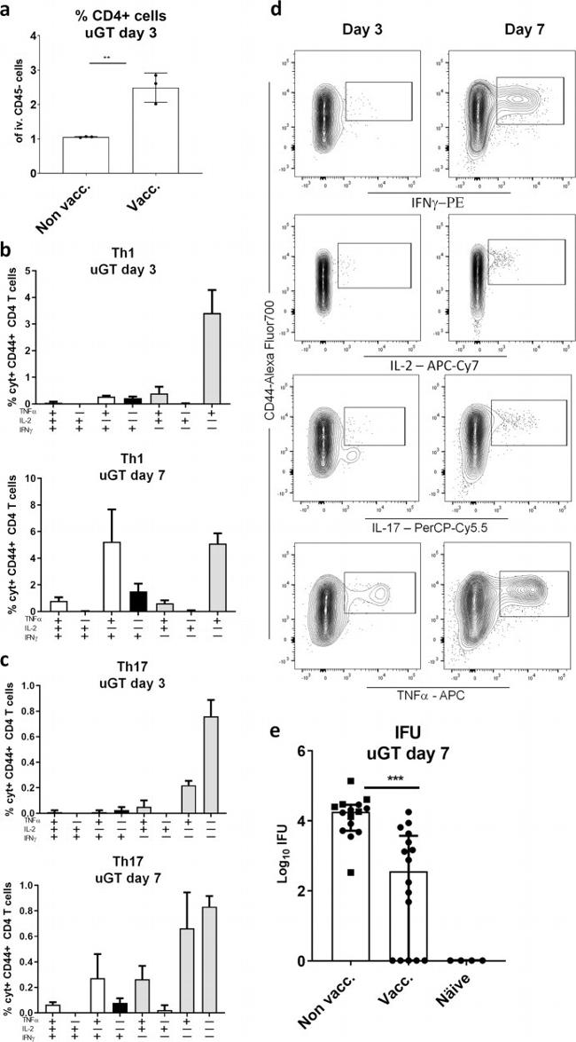 IL-17A Antibody in Flow Cytometry (Flow)