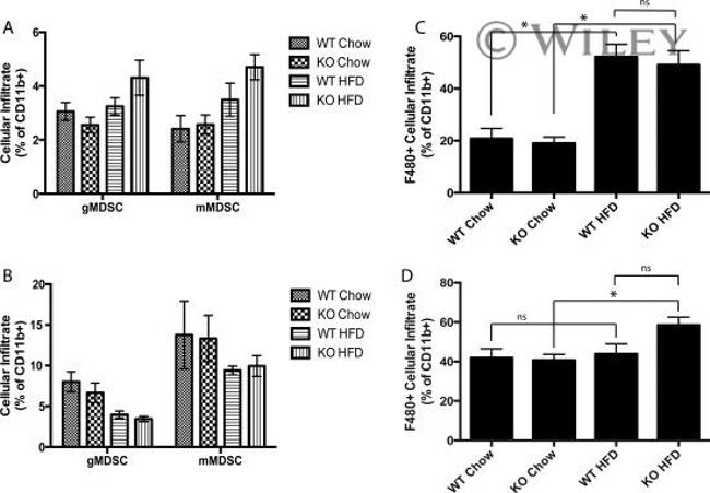 CD11b Antibody in Flow Cytometry (Flow)