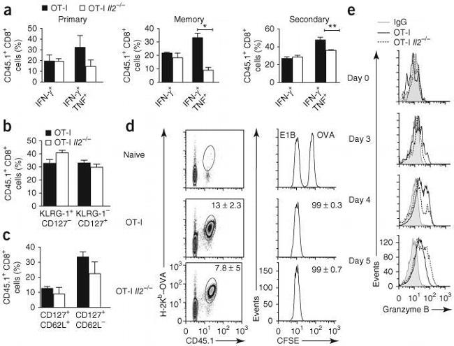 Granzyme B Antibody in Flow Cytometry (Flow)