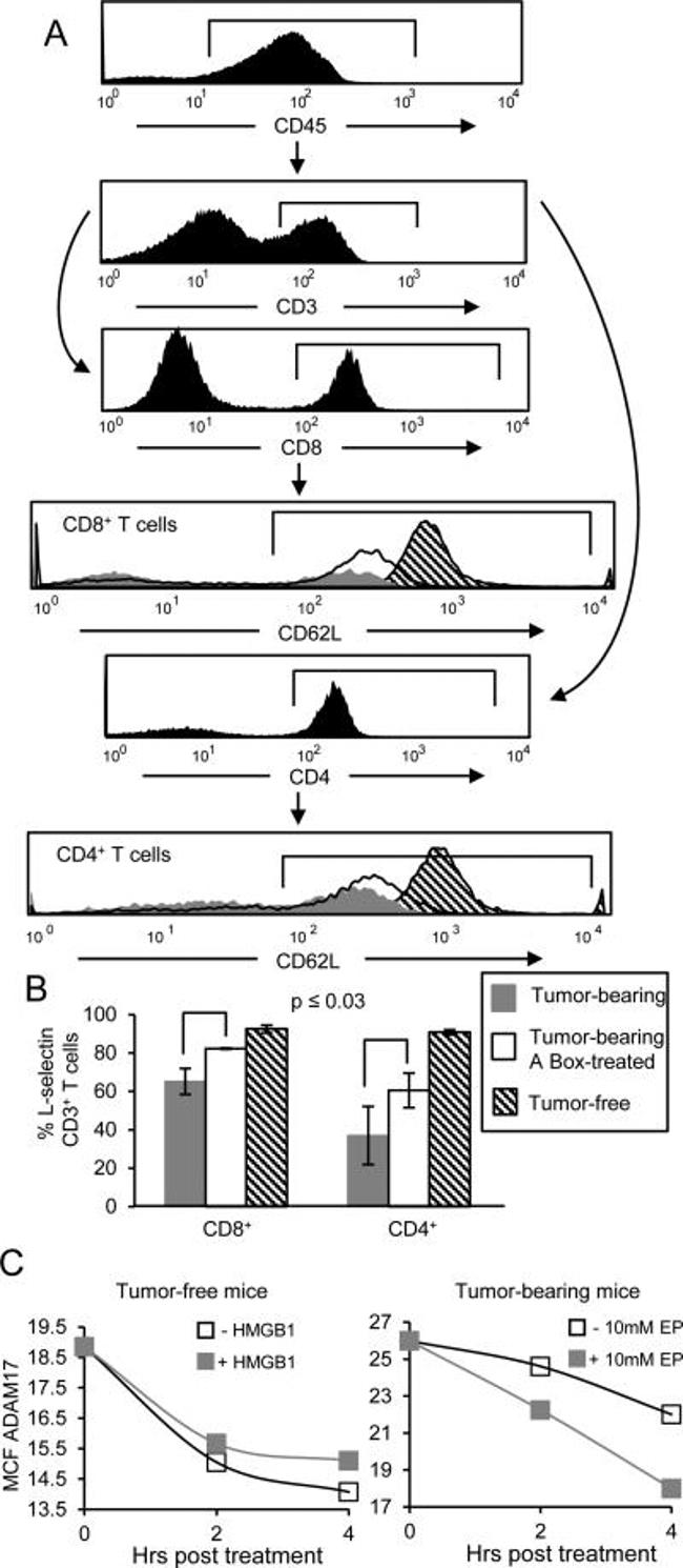 CD45 Antibody in Flow Cytometry (Flow)