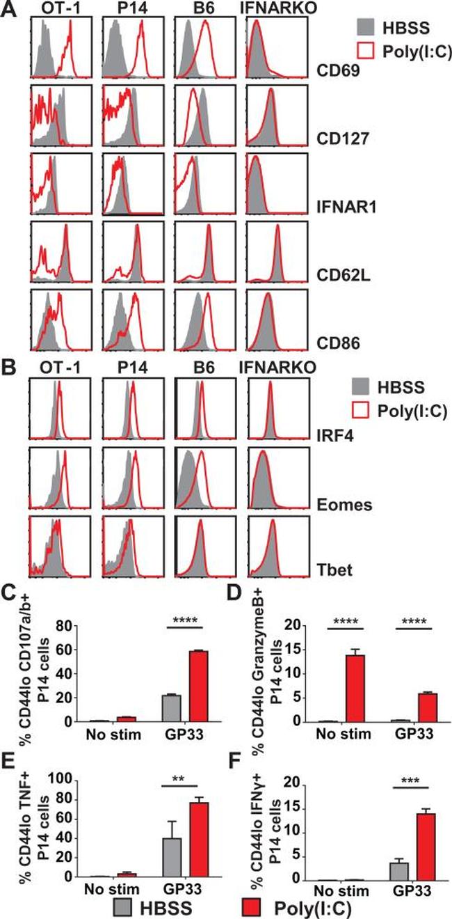 Granzyme B Antibody in Flow Cytometry (Flow)