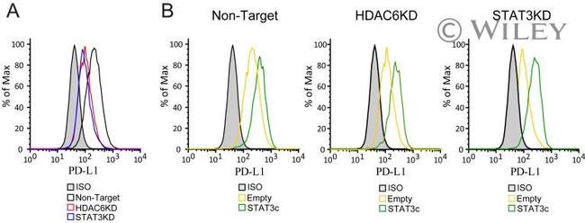 PD-L1 Antibody in Flow Cytometry (Flow)