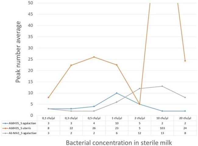 Streptococcus agalactiae Antibody in ELISA (ELISA)