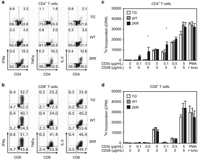 CD4 Antibody in Flow Cytometry (Flow)