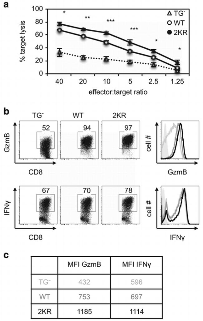 Granzyme B Antibody in Flow Cytometry (Flow)