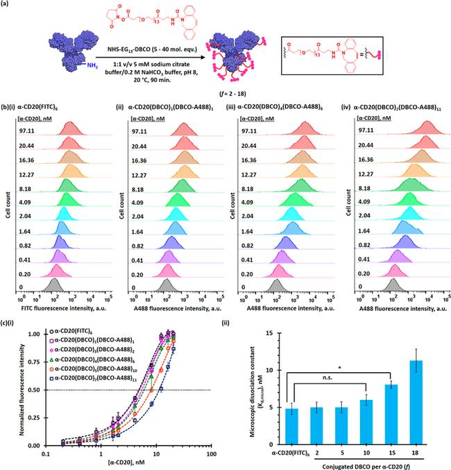 CD20 Antibody in Flow Cytometry (Flow)