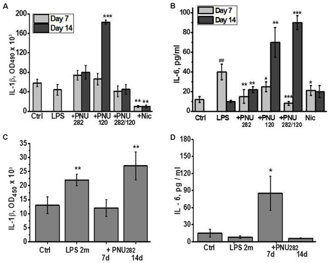 IL-1 beta Antibody in ELISA (ELISA)