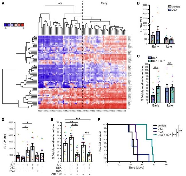 Bcl-2 Antibody in Flow Cytometry (Flow)