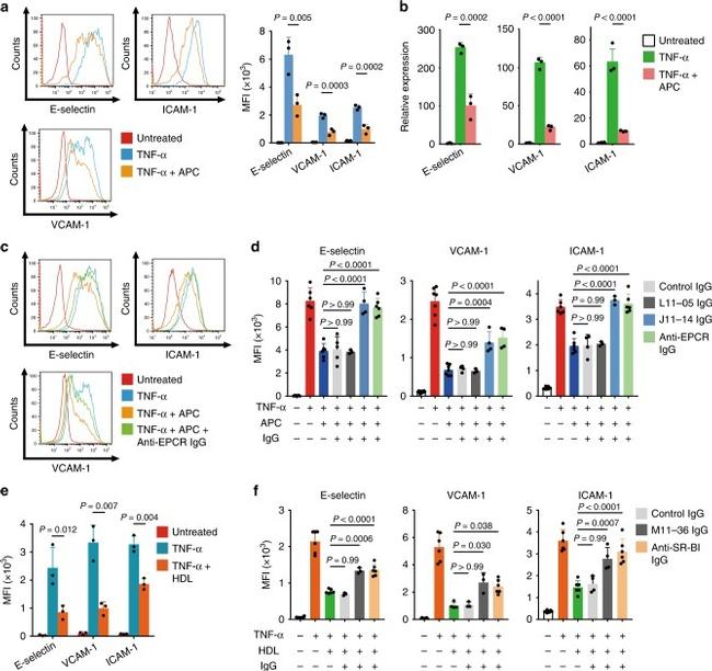 EPCR Antibody in Flow Cytometry (Flow)