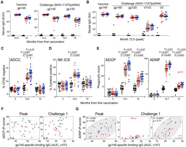 CD19 Antibody in Flow Cytometry (Flow)