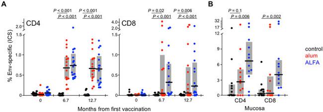 CD19 Antibody in Flow Cytometry (Flow)