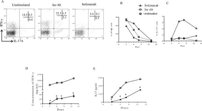 CD3e Antibody in ELISA (ELISA)