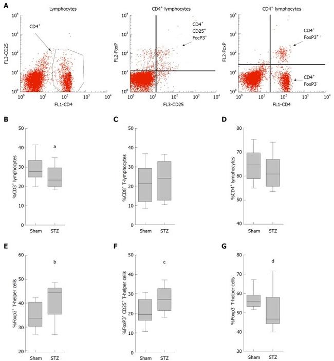 CD4 Antibody in Flow Cytometry (Flow)