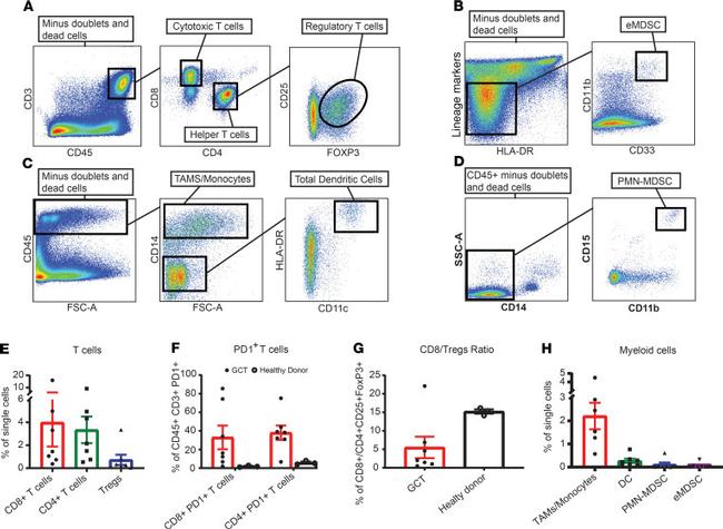 CD45 Antibody in Flow Cytometry (Flow)