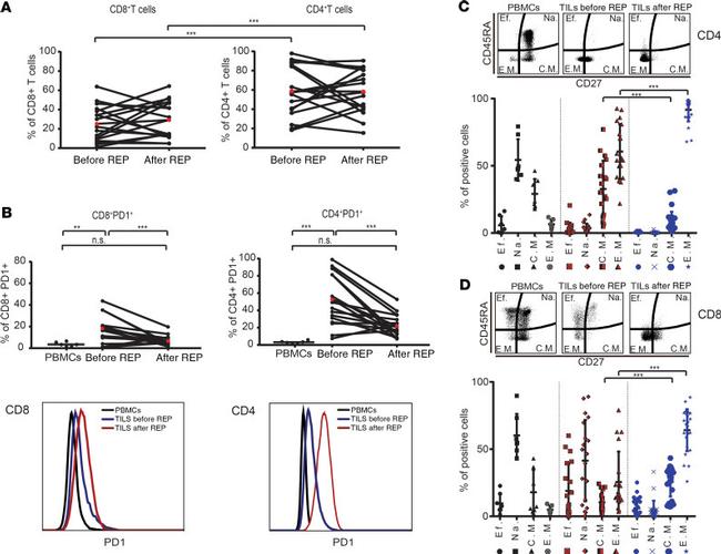 CD279 (PD-1) Antibody in Flow Cytometry (Flow)