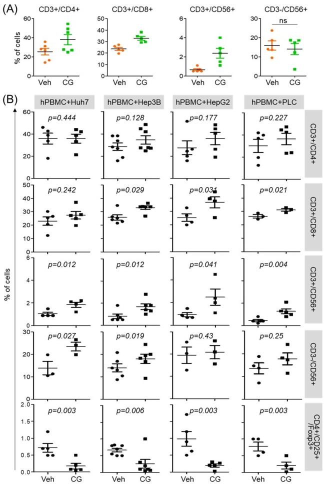 CD56 (NCAM) Antibody in Flow Cytometry (Flow)