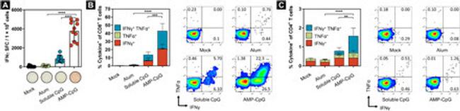 CD4 Antibody in Flow Cytometry (Flow)