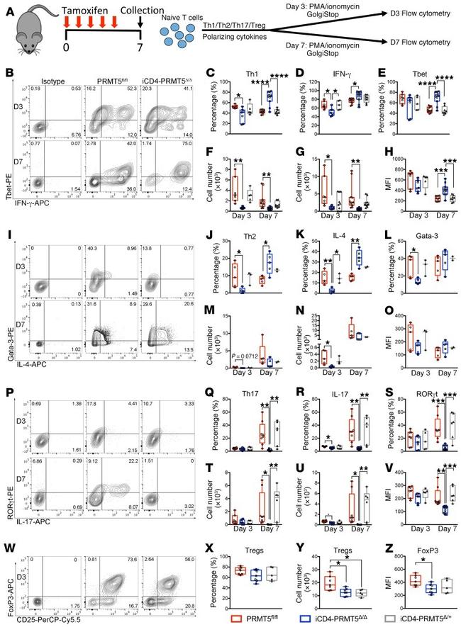 FOXP3 Antibody in Flow Cytometry (Flow)