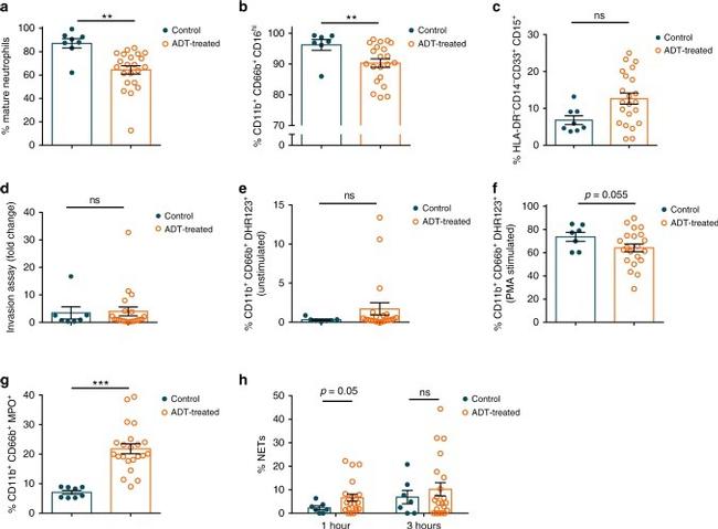 CD16 Antibody in Flow Cytometry (Flow)