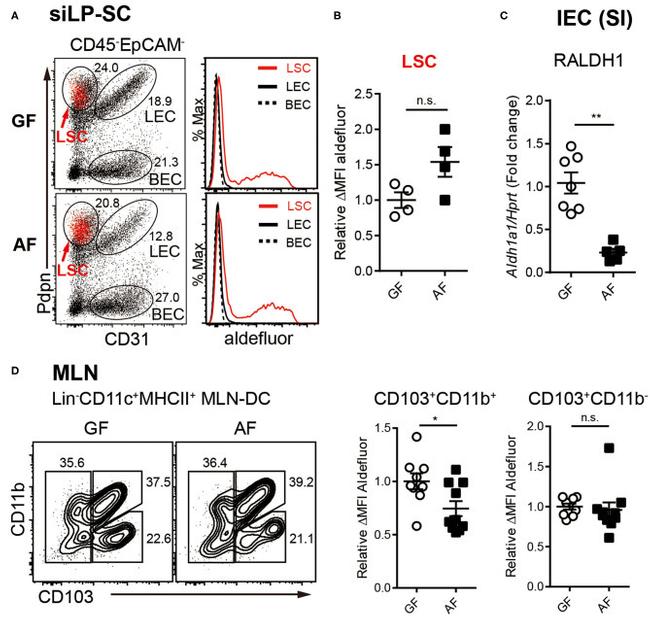 MHC Class II (I-A/I-E) Antibody in Flow Cytometry (Flow)