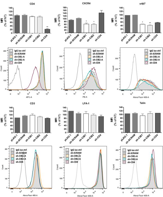 CD4 Antibody in Flow Cytometry (Flow)