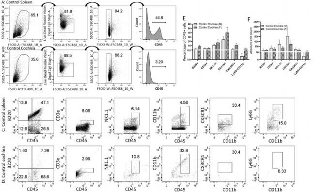 CD11b Antibody in Flow Cytometry (Flow)