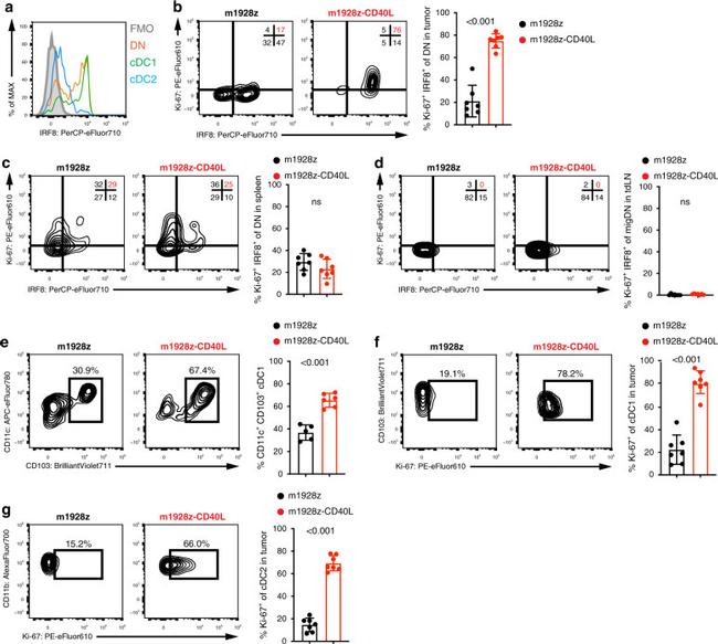 IRF8 Antibody in Flow Cytometry (Flow)