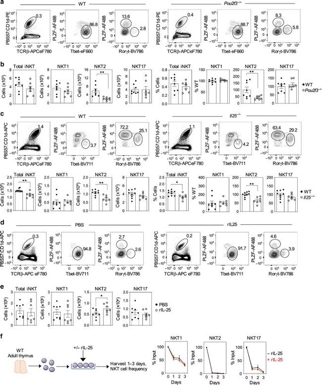 TCR beta Antibody in Flow Cytometry (Flow)