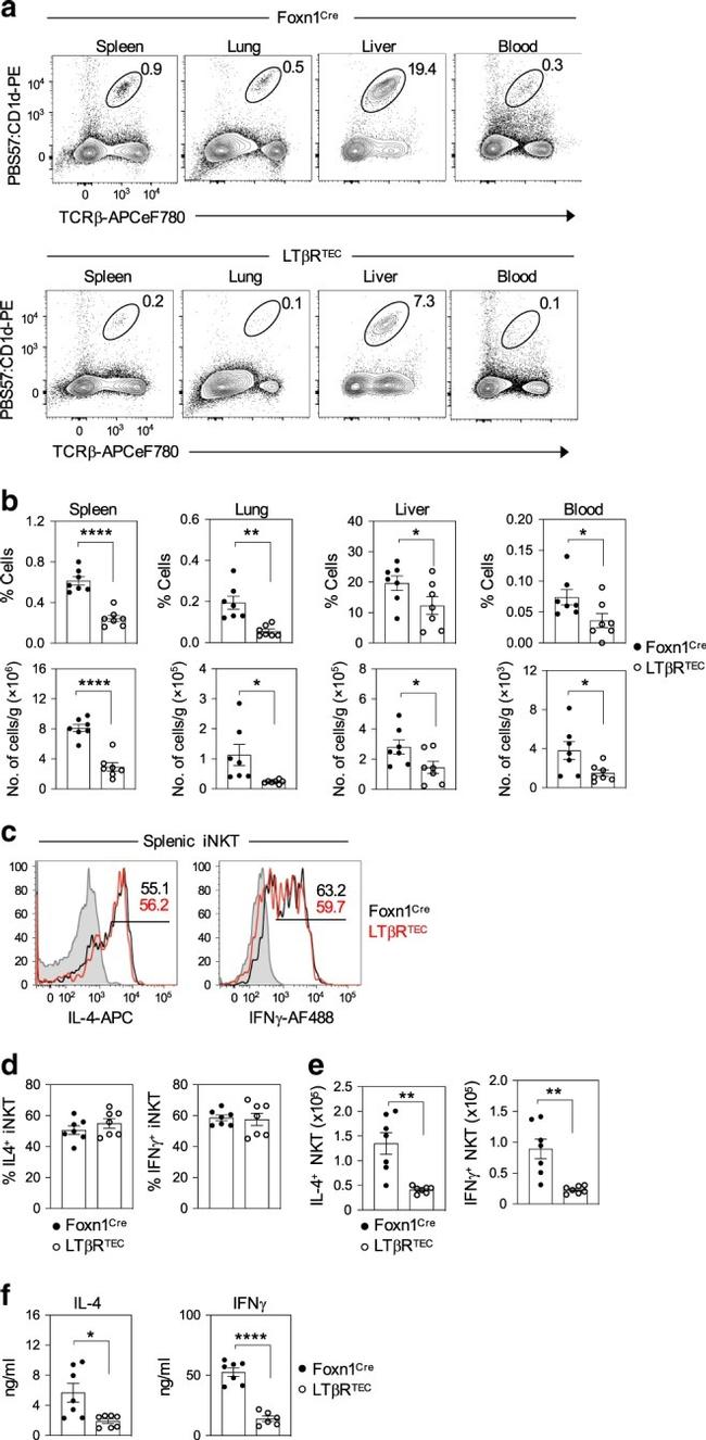 IL-4 Antibody in Flow Cytometry (Flow)