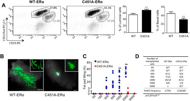 CD45 Antibody in Flow Cytometry (Flow)