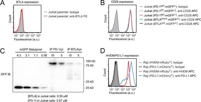 CD28 Antibody in Flow Cytometry (Flow)